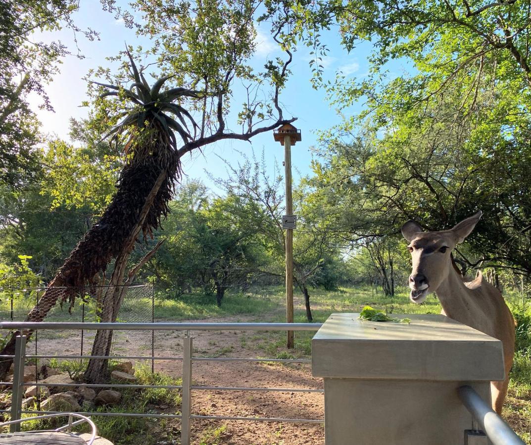 Вилла Kruger'S Keep - Luxury Couples Haven Марлот-Парк Экстерьер фото